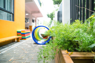 幼兒園植物