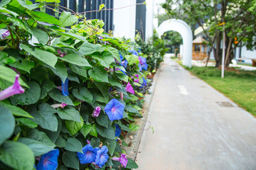 幼兒園