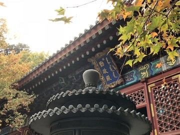 勤政殿香爐