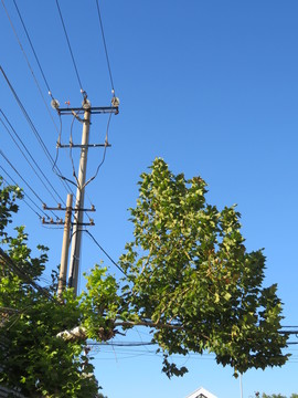 電線桿
