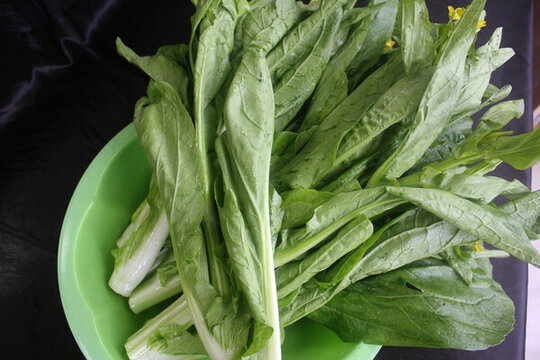 新鮮蔬菜