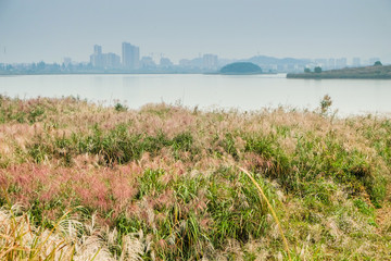 秋季風(fēng)景