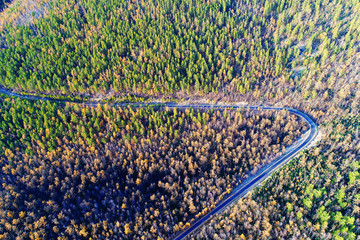 航拍秋季森林公路