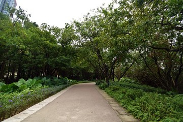 公園