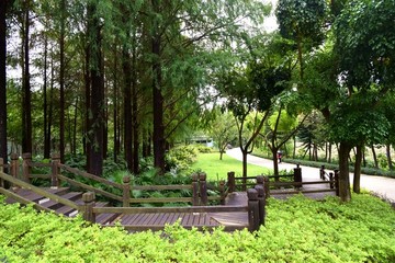 風(fēng)景
