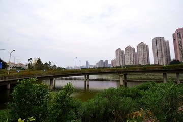 橋