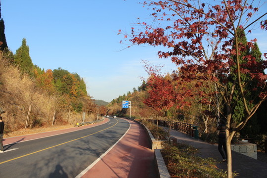 千島湖道路美景