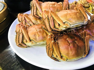 大閘蟹