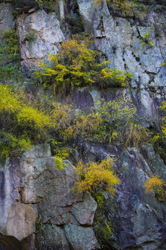 錦繡嶗山