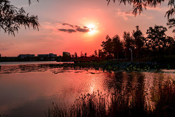 夕陽(yáng)