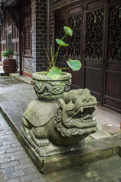 烏龜?shù)袼? style=