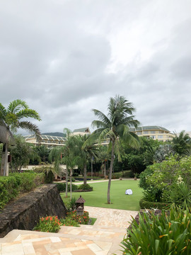 熱帶植物園林海南風(fēng)光