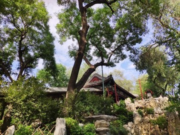 恭王府花園