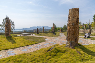 青州九龍峪硅化木地質(zhì)公園