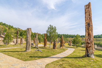 青州九龍峪硅化木地質(zhì)公園