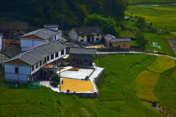 金秋高原梯田風(fēng)電場(chǎng)