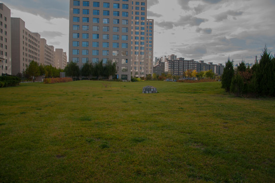 城市草坪