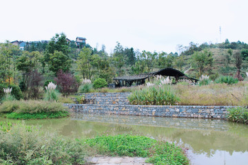 茶舍環(huán)境