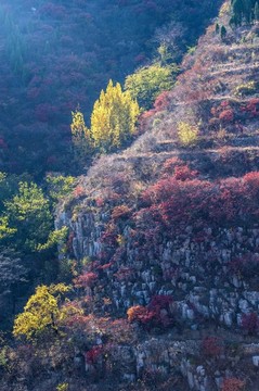 山鄉(xiāng)秋景