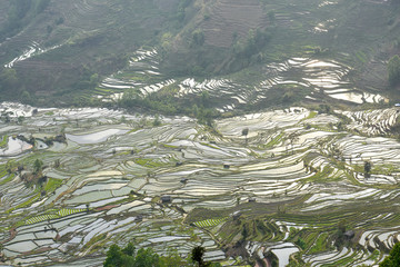 梯田