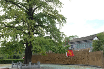 何家沖