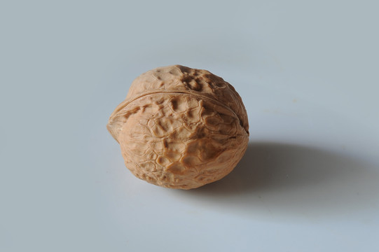 核桃