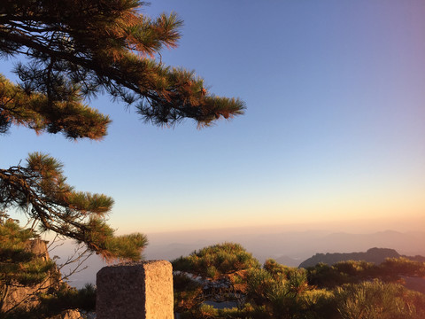 黃山松風(fēng)景