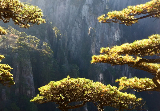 黃山風景