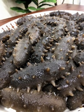 海參