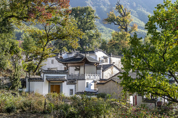 塔川風(fēng)景