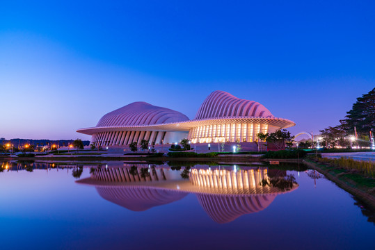 廣西文化藝術(shù)中心夜景