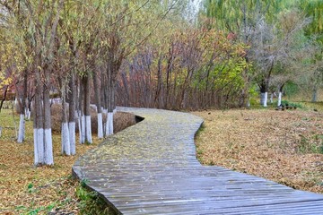 棧道