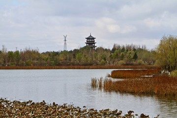 北湖