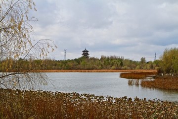 北湖公園