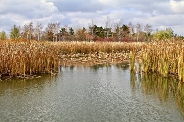北湖公園