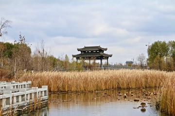 北湖公園