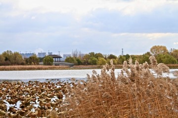 北湖公園