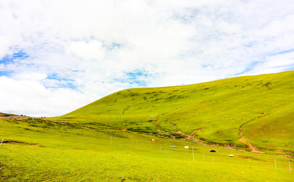 峽谷中的青山綠水