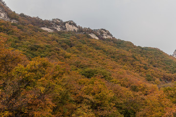 鳳凰山紅葉秋色自然風(fēng)光04