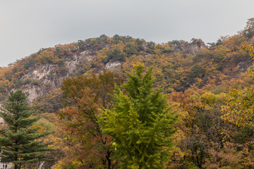 鳳凰山紅葉秋色自然風(fēng)光10