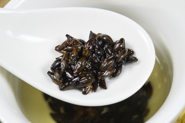 大麥茶