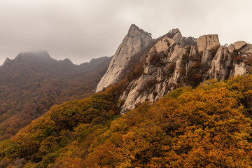 鳳凰山紅葉秋色自然風(fēng)光82