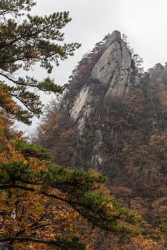 鳳凰山紅葉秋色自然風(fēng)光94