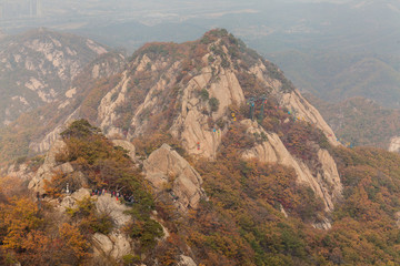 鳳凰山紅葉秋色自然風光169