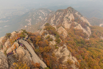 鳳凰山紅葉秋色自然風(fēng)光180