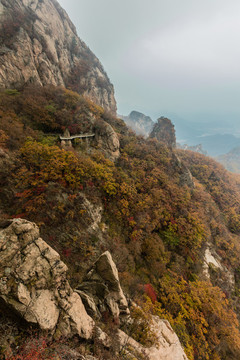 鳳凰山紅葉秋色自然風(fēng)光421