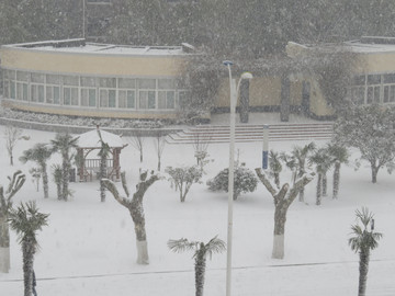 大雪