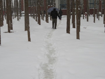 大雪