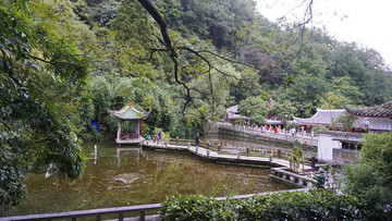 公園風(fēng)光