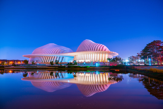 廣西文化藝術(shù)中心夜景